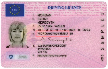 Example driving licence